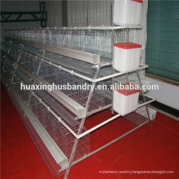 Best selling hen house design with full automatic system